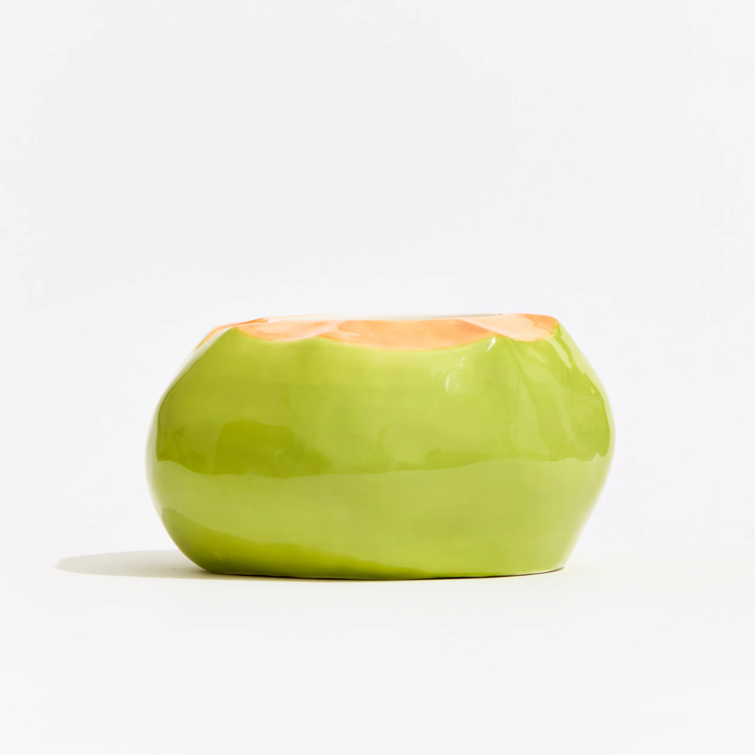 Coconut Ashtray - Image 3